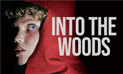 Hiking - Into The Woods
