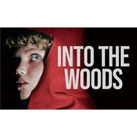 Into The Woods - Hiking review and price
