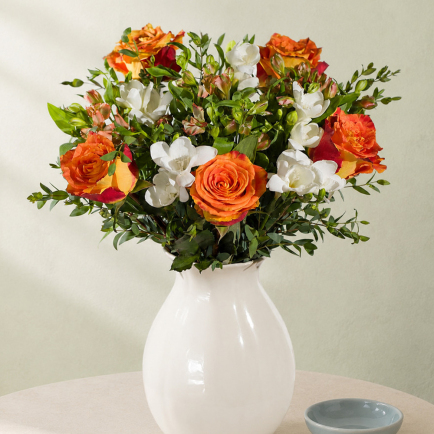 Autumn Rose and Freesias - Hiking review and price