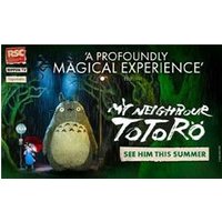 My Neighbour Totoro - Hiking review and price