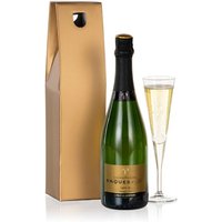 Champagne Choice - Hiking review and price