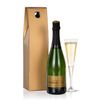 Champagne Choice - Hiking review and price