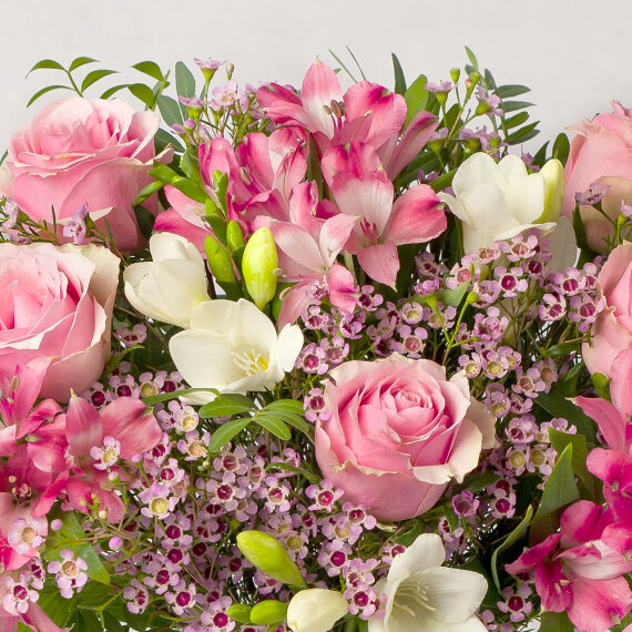 Pink Roses and Freesias - Hiking review and price