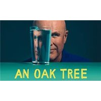 An Oak Tree - Hiking review and price