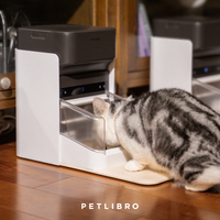 Petlibro One RFID Pet Feeder,  - Resistance Bands Set With Handles review and price