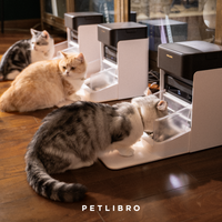 Petlibro One RFID Pet Feeder,  - Resistance Bands Set With Handles review and price