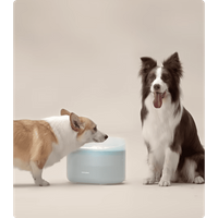 Petlibro Capsule Dog Fountain, - Resistance Bands Set With Handles review and price