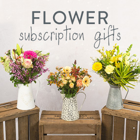Hand Tied 6 Month Flower Gift - Hiking review and price