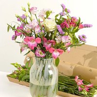 Letterbox Monthly Flower Gift - Hiking review and price